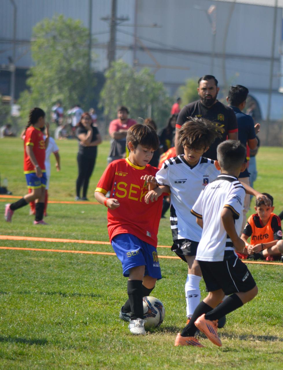 Foto galer&iacute;a 3F Sport Chile SPA 11